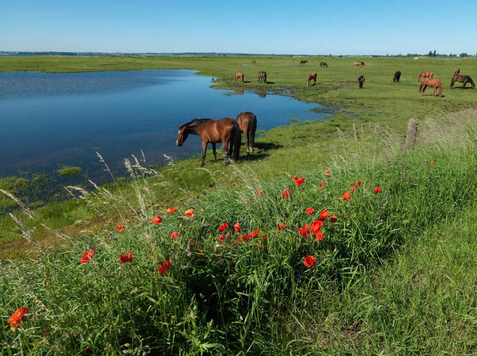 Gollwitzer Park Oase Apartamento Insel Poel Exterior foto