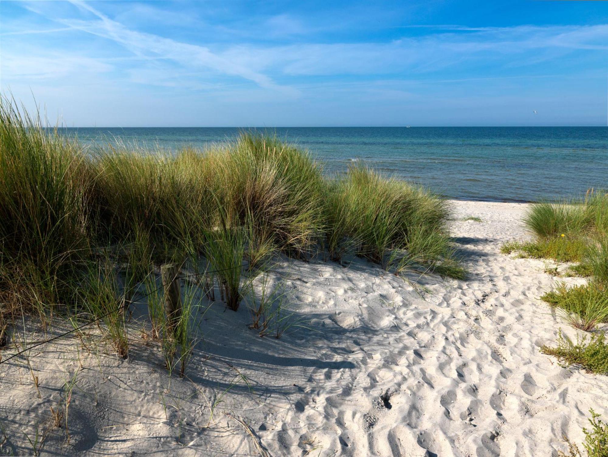 Gollwitzer Park Oase Apartamento Insel Poel Exterior foto